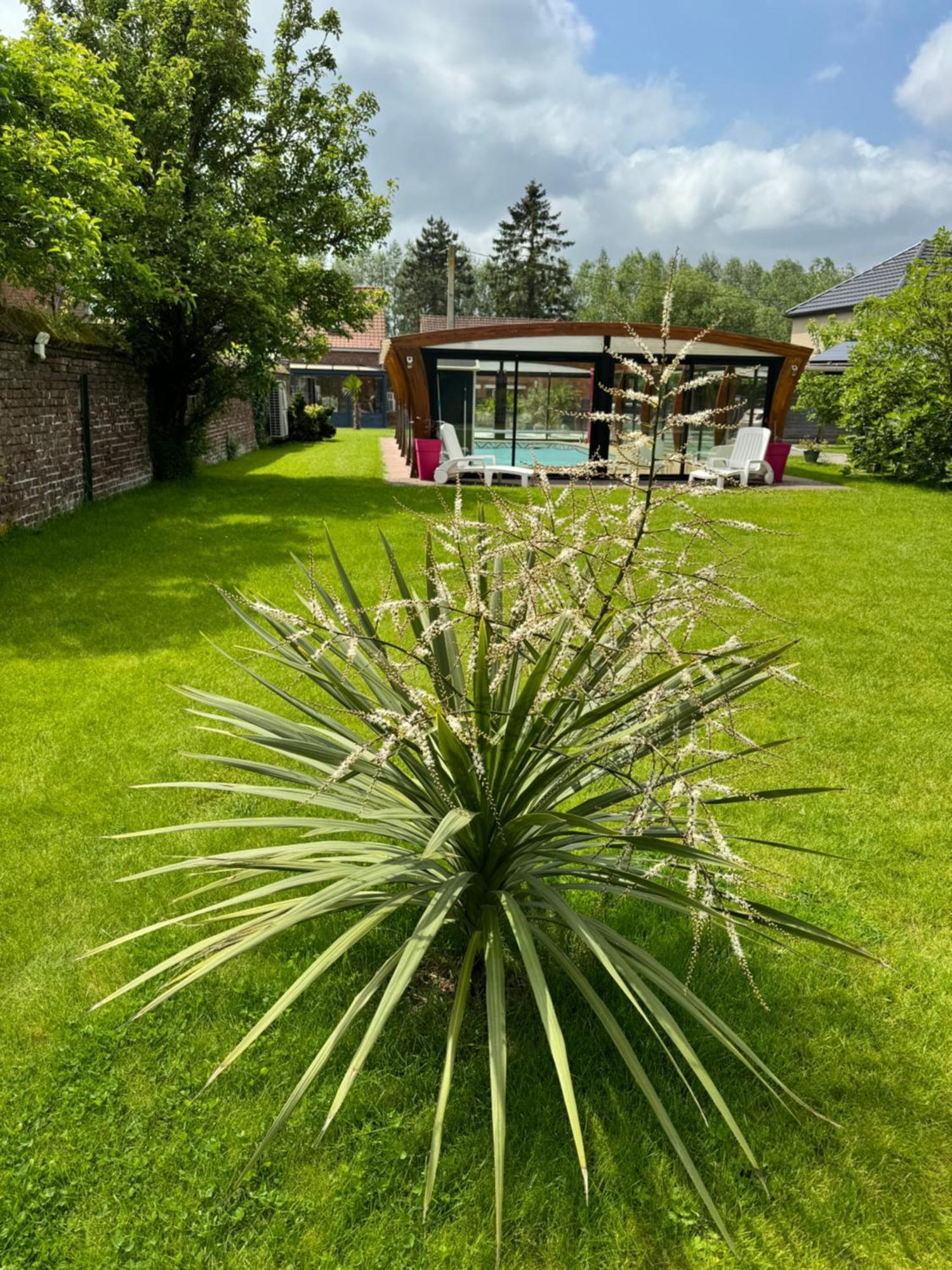 Gite Avec Piscine Lestrem Zewnętrze zdjęcie